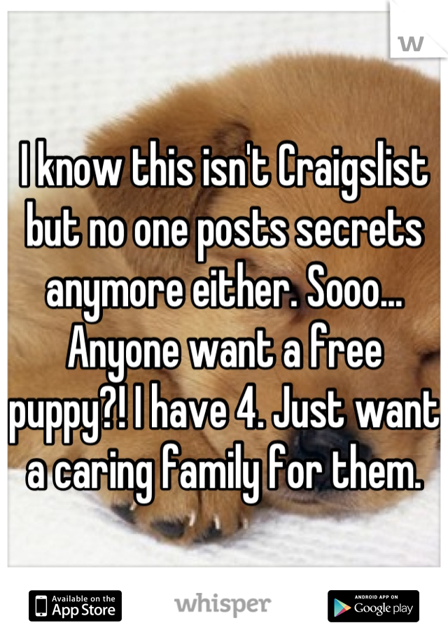 I know this isn't Craigslist but no one posts secrets anymore either. Sooo...
Anyone want a free puppy?! I have 4. Just want a caring family for them.
