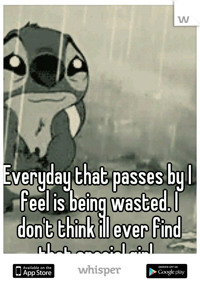 Everyday that passes by I feel is being wasted. I don't think ill ever find that special girl. 