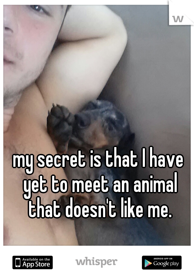 my secret is that I have yet to meet an animal that doesn't like me.