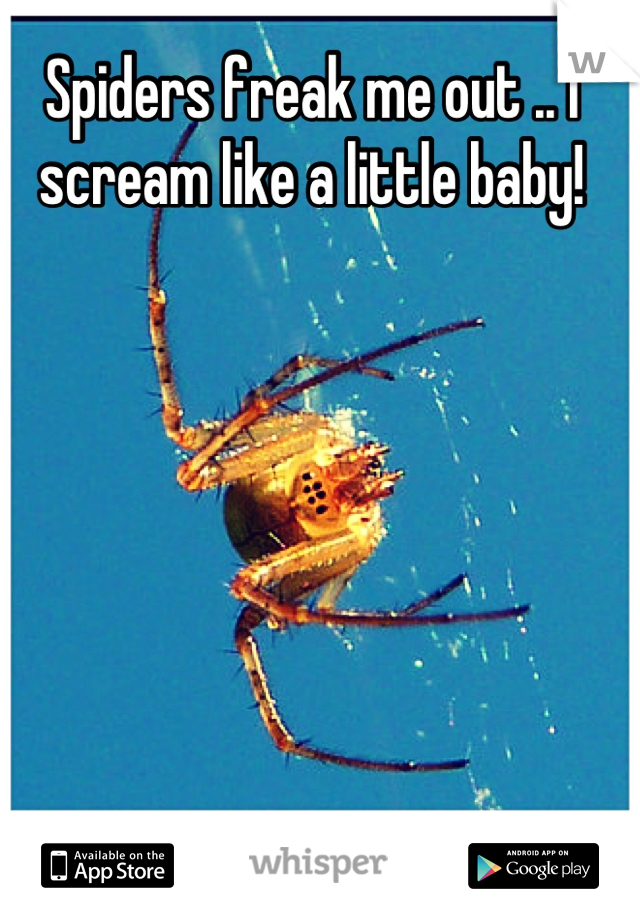Spiders freak me out .. I scream like a little baby!