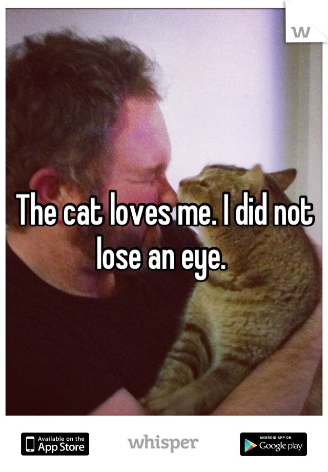 The cat loves me. I did not lose an eye. 