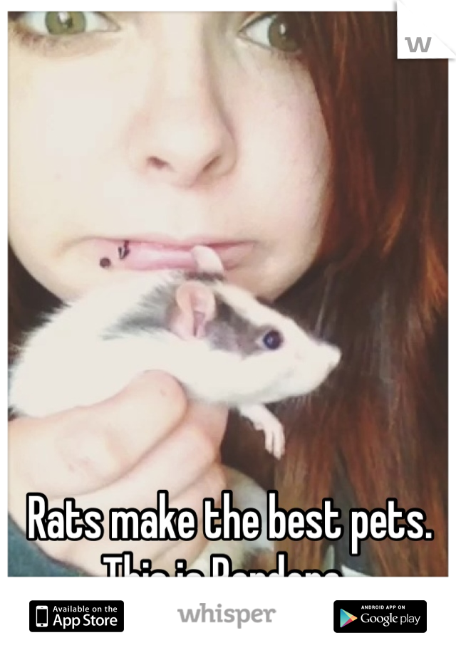 Rats make the best pets. This is Pandora. 