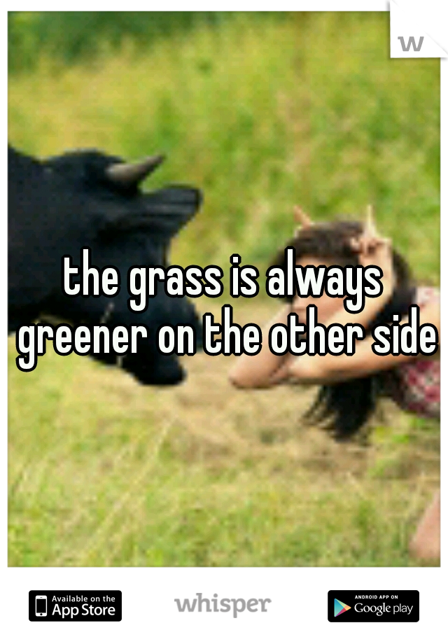 the grass is always greener on the other side