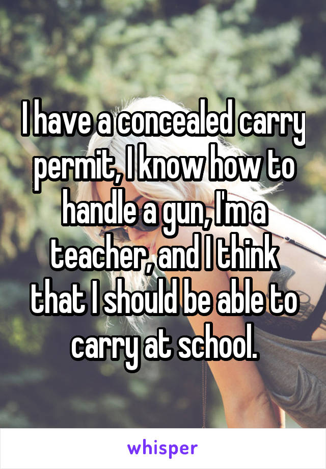 I have a concealed carry permit, I know how to handle a gun, I'm a teacher, and I think that I should be able to carry at school.