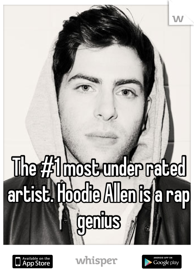 The #1 most under rated artist. Hoodie Allen is a rap genius