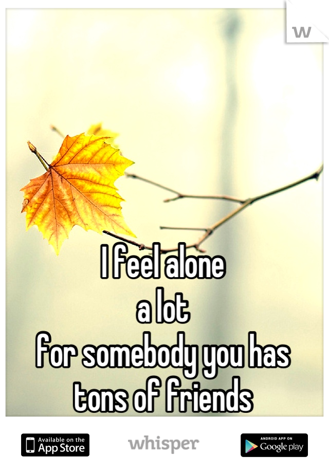 I feel alone
a lot
for somebody you has 
tons of friends
......