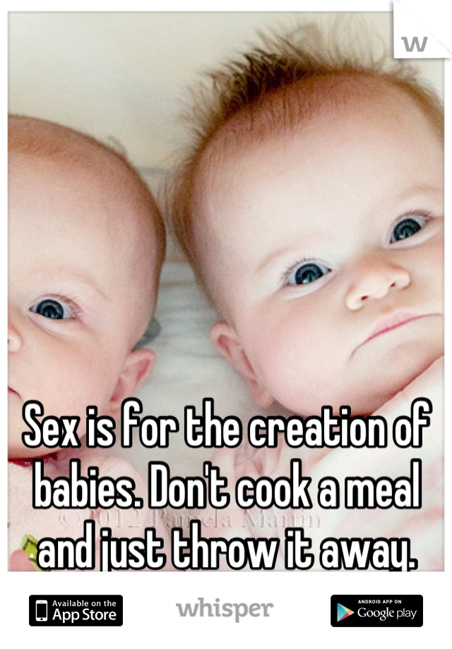 Sex is for the creation of babies. Don't cook a meal and just throw it away.
