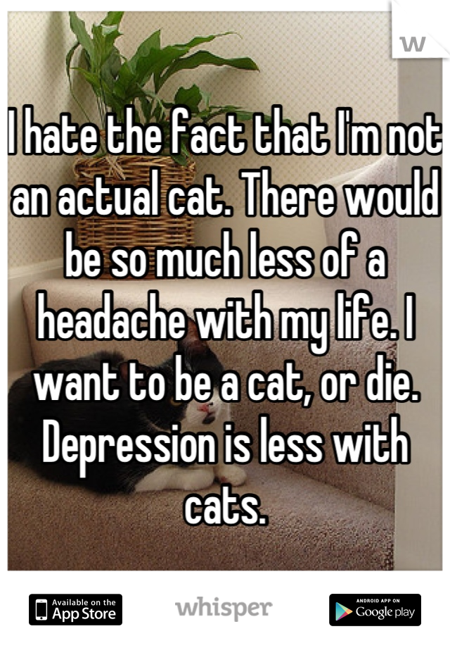 I hate the fact that I'm not an actual cat. There would be so much less of a headache with my life. I want to be a cat, or die. Depression is less with cats.