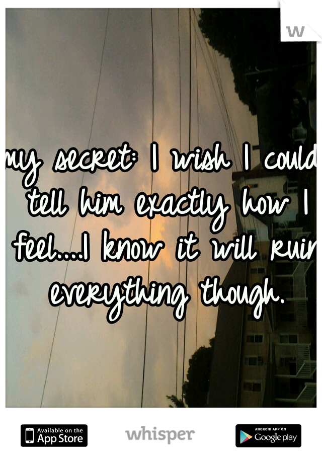 my secret: I wish I could tell him exactly how I feel....I know it will ruin everything though.