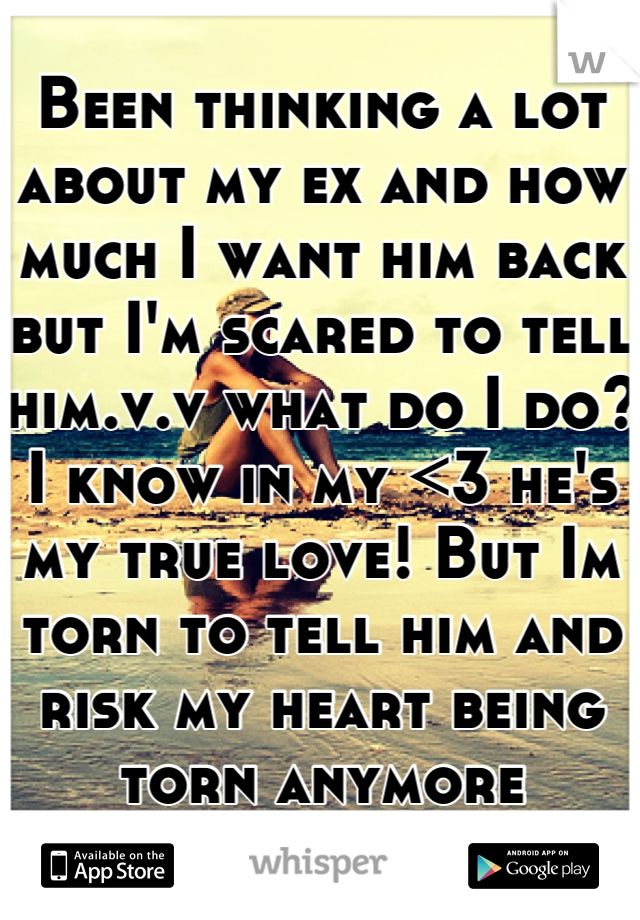 Been thinking a lot about my ex and how much I want him back but I'm scared to tell him.v.v what do I do? I know in my <3 he's my true love! But Im torn to tell him and risk my heart being torn anymore