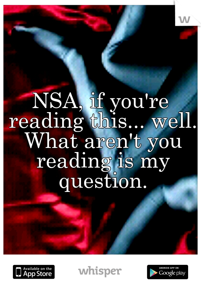 NSA, if you're reading this... well. What aren't you reading is my question.