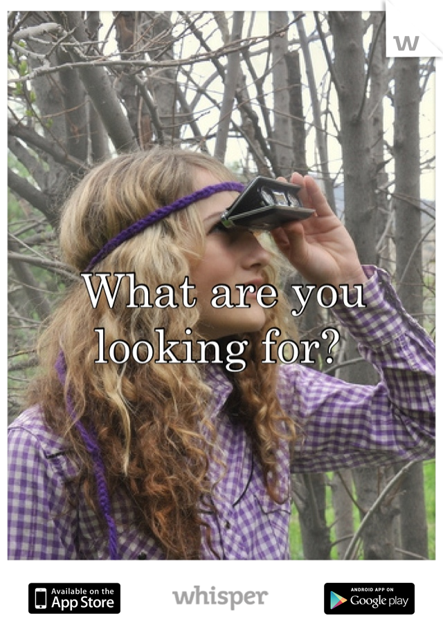 What are you looking for? 