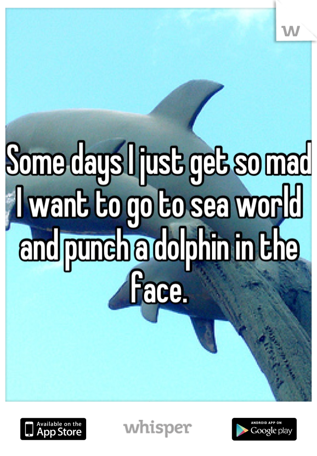 Some days I just get so mad I want to go to sea world and punch a dolphin in the face.