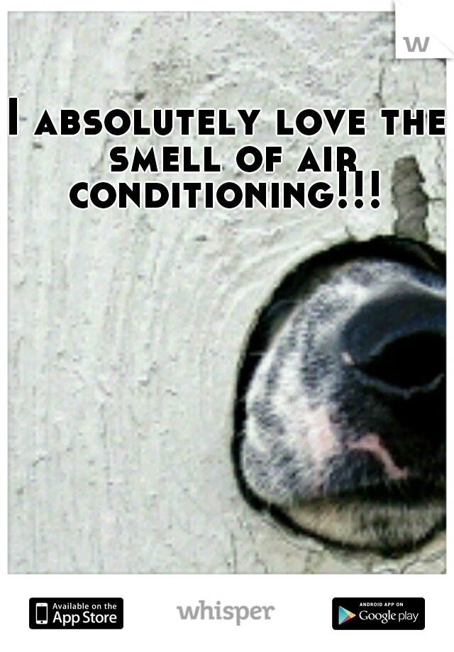 I absolutely love the smell of air conditioning!!! 