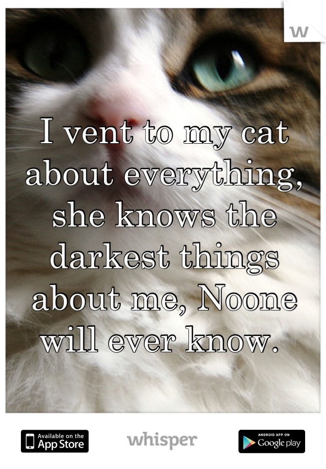 I vent to my cat about everything, she knows the darkest things about me, Noone will ever know. 