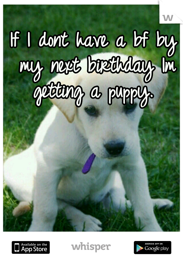 If I dont have a bf by my next birthday Im getting a puppy. 