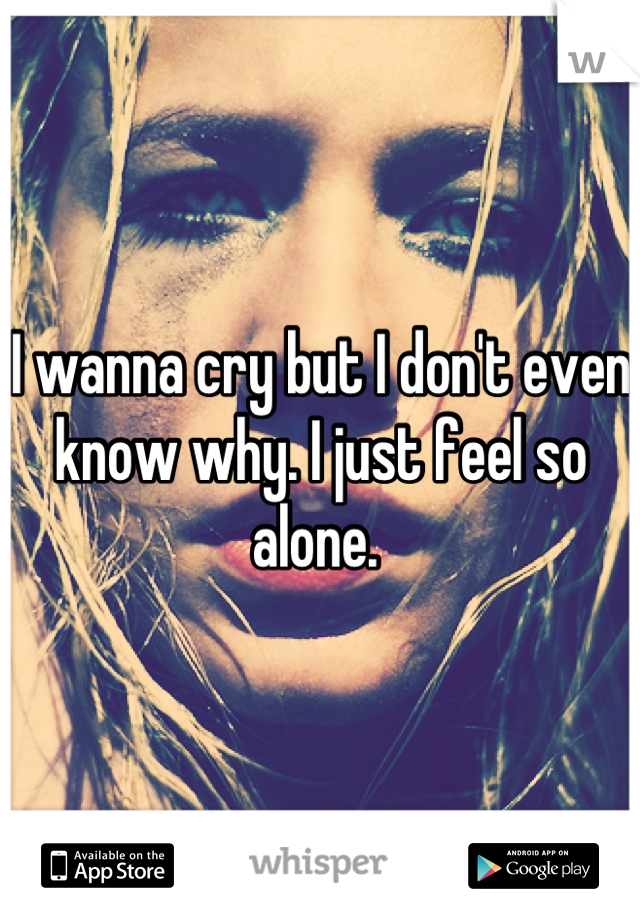 I wanna cry but I don't even know why. I just feel so alone. 