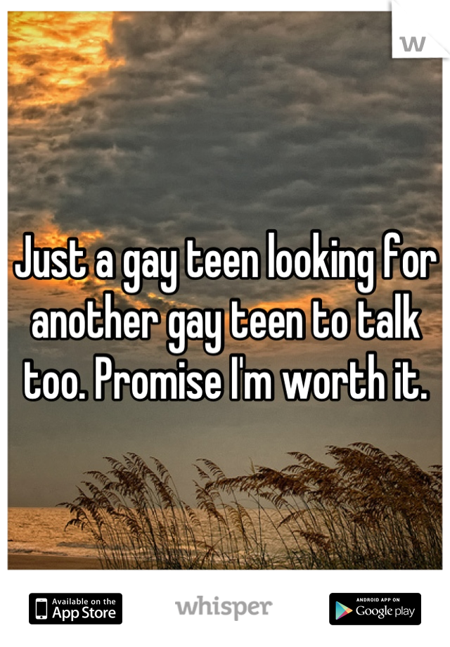 Just a gay teen looking for another gay teen to talk too. Promise I'm worth it.
