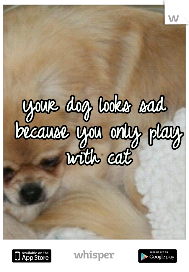 your dog looks sad because you only play with cat
