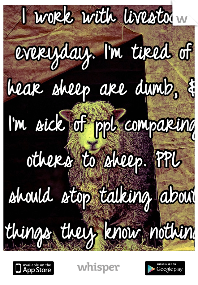 I work with livestock everyday. I'm tired of hear sheep are dumb, & I'm sick of ppl comparing others to sheep. PPL should stop talking about things they know nothing about 