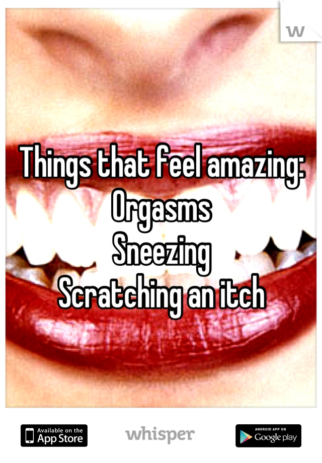 Things that feel amazing: 
Orgasms
Sneezing 
Scratching an itch