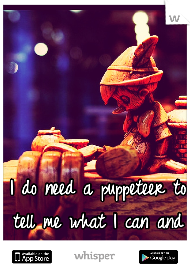 I do need a puppeteer to tell me what I can and can not do 