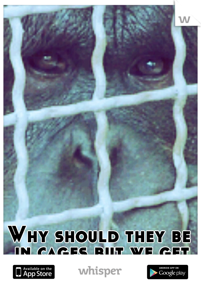 Why should they be in cages but we get to run wild?