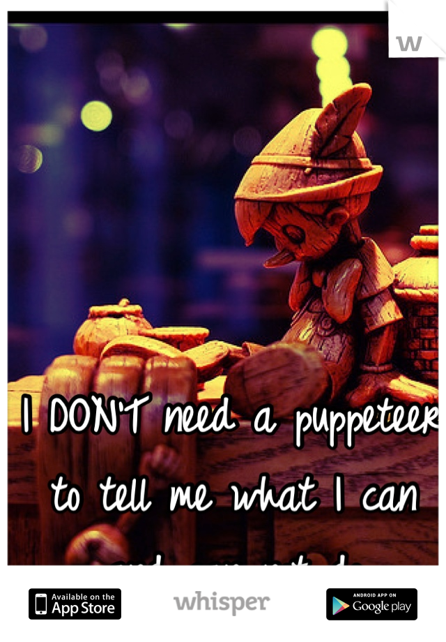 I DON'T need a puppeteer to tell me what I can and can not do