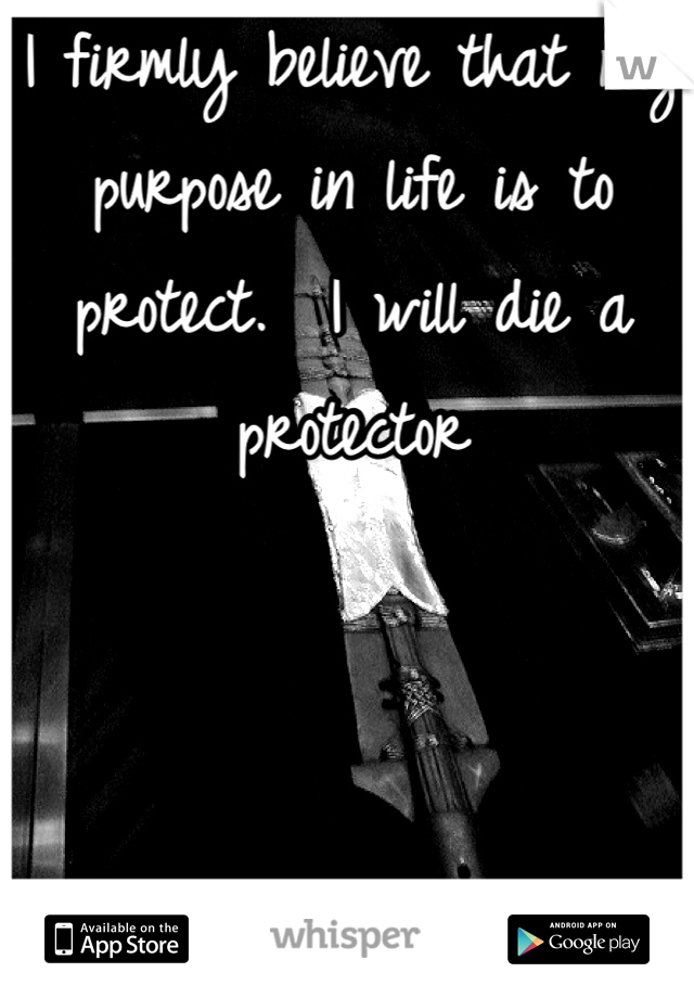 I firmly believe that my purpose in life is to protect.  I will die a protector