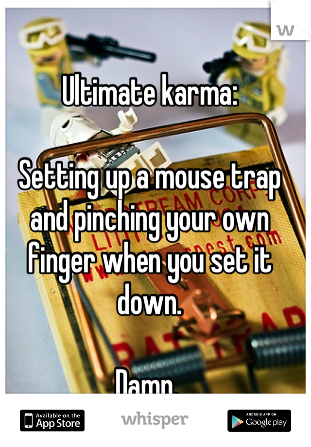 Ultimate karma:

Setting up a mouse trap and pinching your own finger when you set it down. 

Damn. 