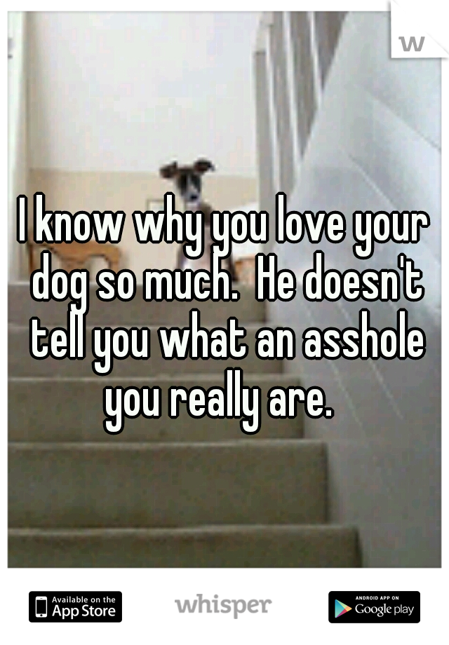I know why you love your dog so much.  He doesn't tell you what an asshole you really are.  