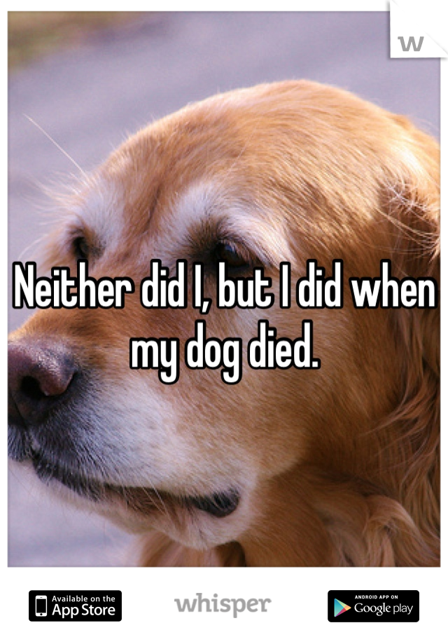 Neither did I, but I did when my dog died.