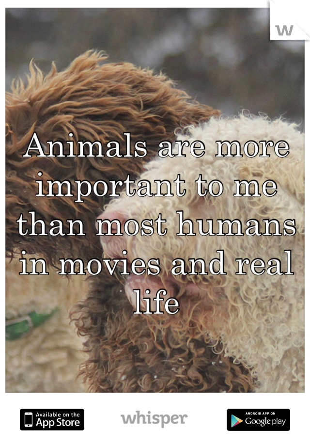 Animals are more important to me than most humans in movies and real life