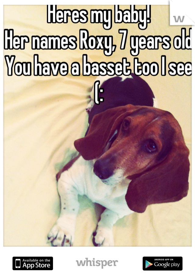 Heres my baby! 
Her names Roxy, 7 years old
You have a basset too I see (: