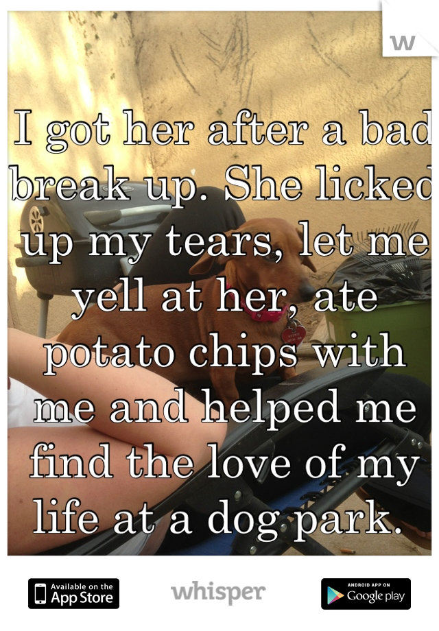 I got her after a bad break up. She licked up my tears, let me yell at her, ate potato chips with me and helped me find the love of my life at a dog park. 