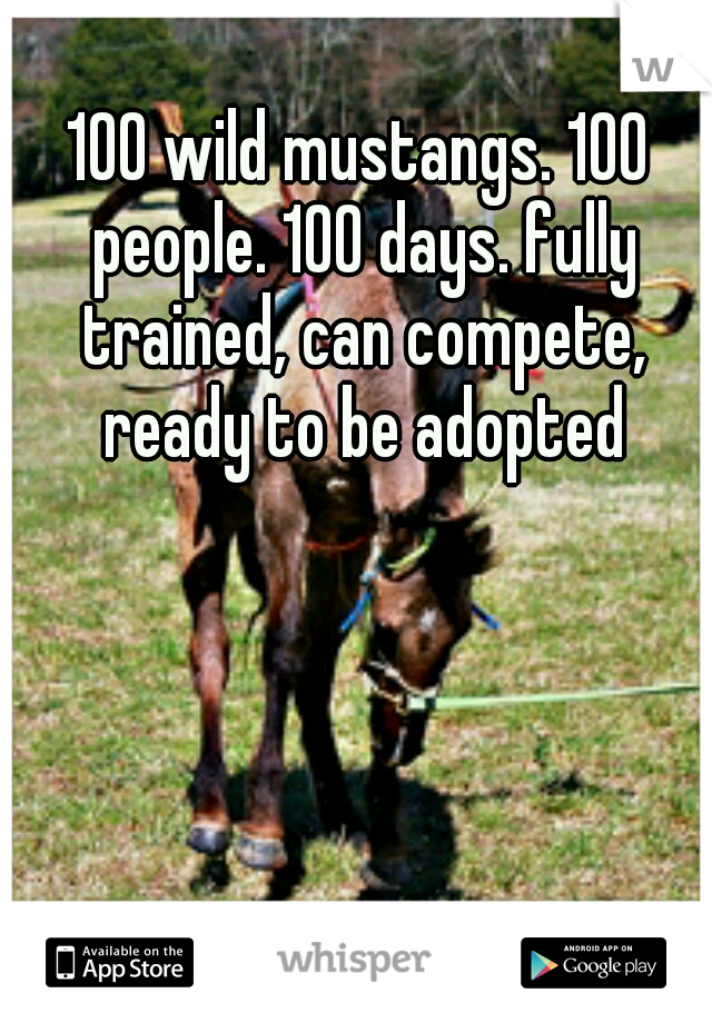 100 wild mustangs. 100 people. 100 days. fully trained, can compete, ready to be adopted