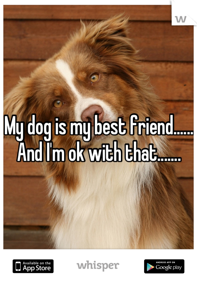 My dog is my best friend...... And I'm ok with that.......