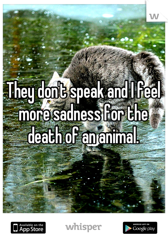 They don't speak and I feel more sadness for the death of an animal.