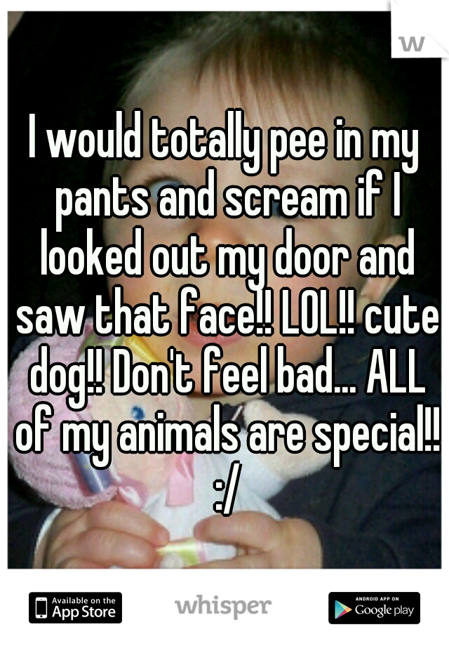 I would totally pee in my pants and scream if I looked out my door and saw that face!! LOL!! cute dog!! Don't feel bad... ALL of my animals are special!! :/