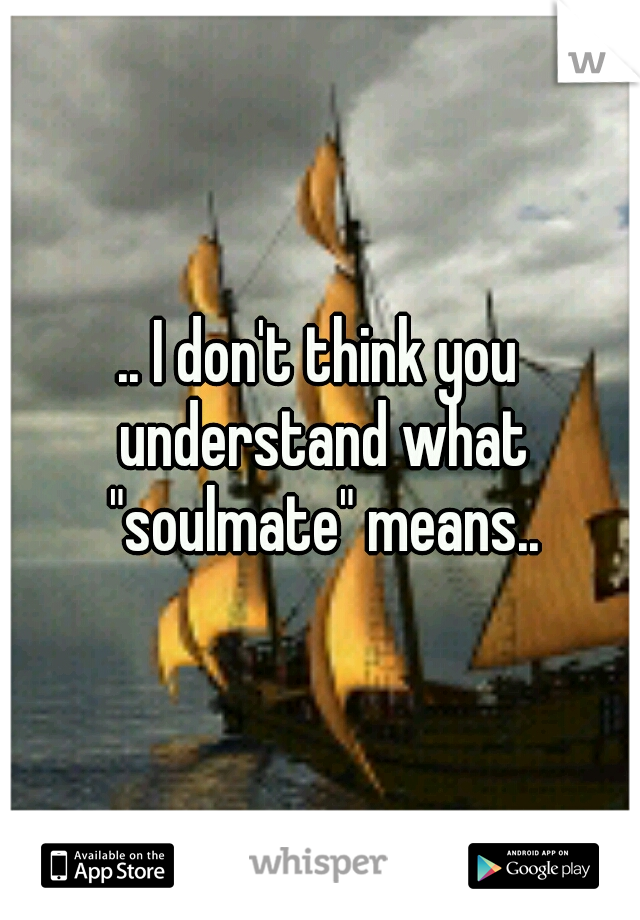 .. I don't think you understand what "soulmate" means..