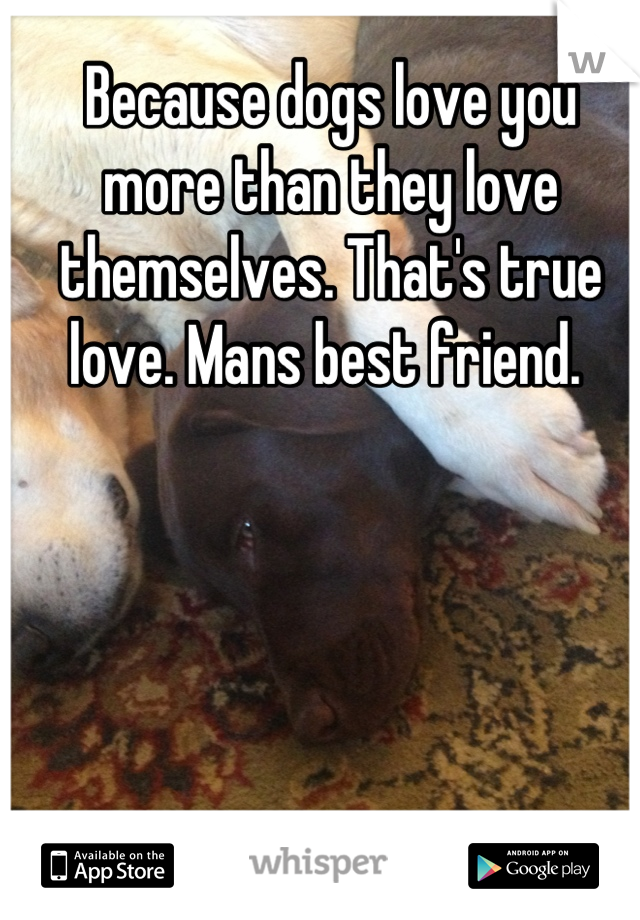 Because dogs love you more than they love themselves. That's true love. Mans best friend. 