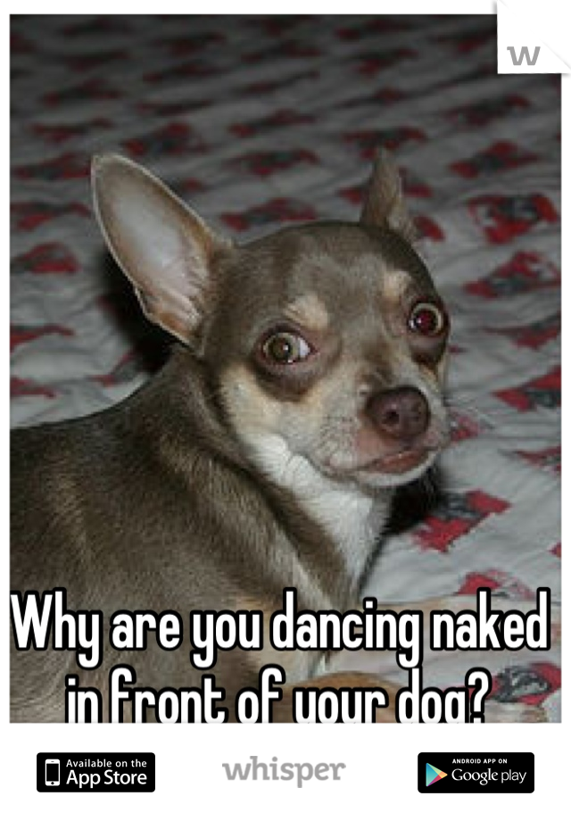 Why are you dancing naked in front of your dog?