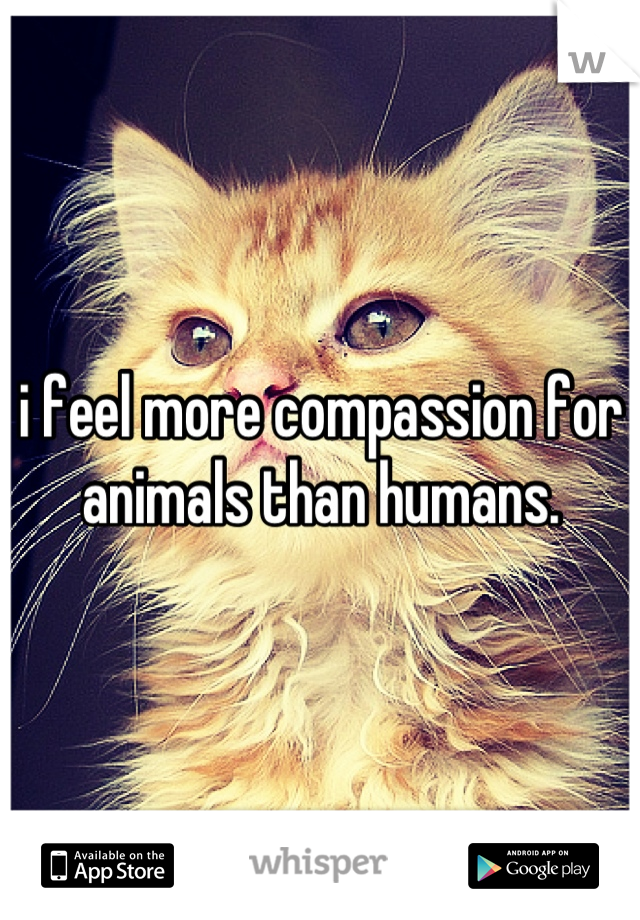 i feel more compassion for animals than humans.