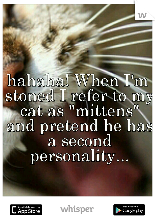hahaha! When I'm stoned I refer to my cat as "mittens" and pretend he has a second personality...