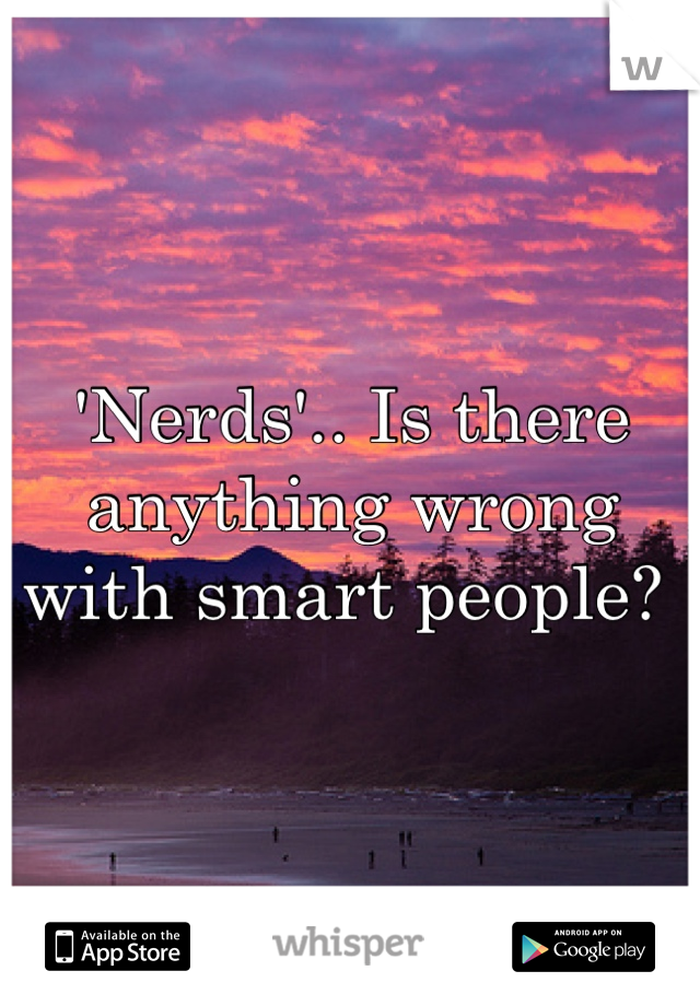 'Nerds'.. Is there anything wrong with smart people? 
