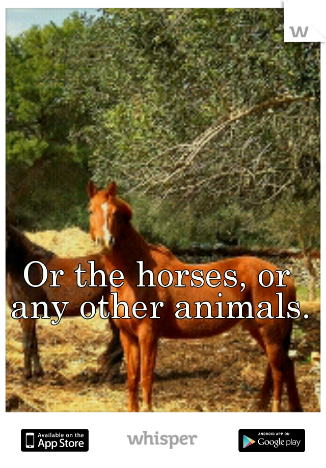 Or the horses, or any other animals.