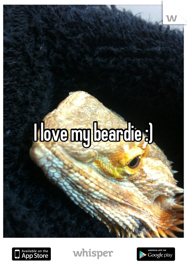 I love my beardie :)