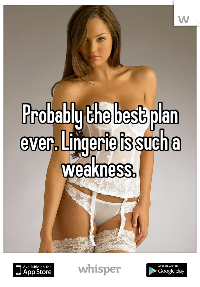 Probably the best plan ever. Lingerie is such a weakness. 