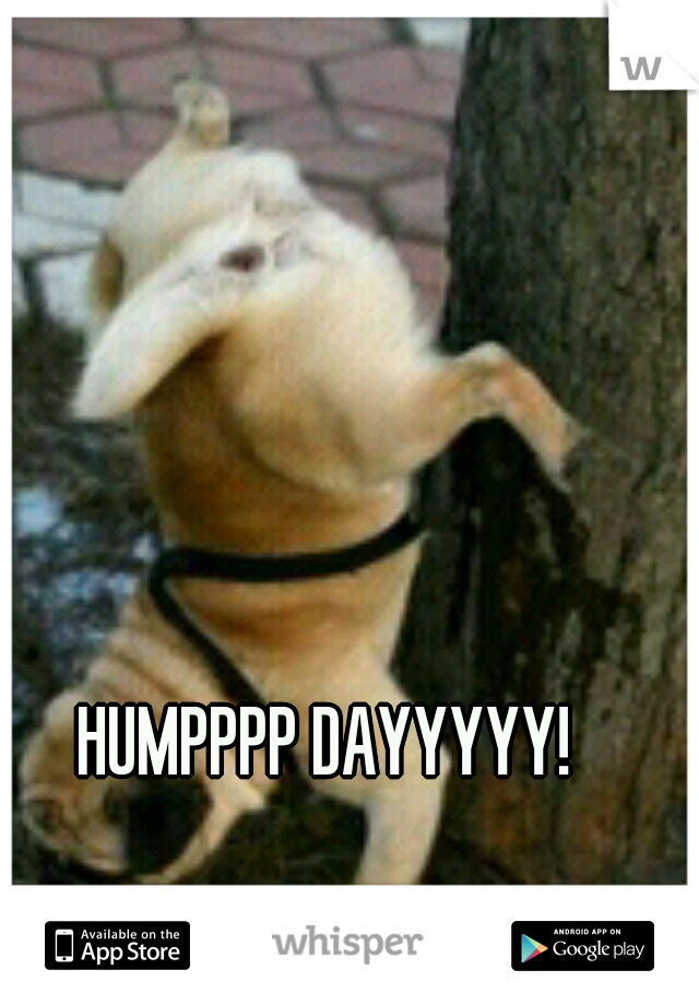 HUMPPPP DAYYYYY!