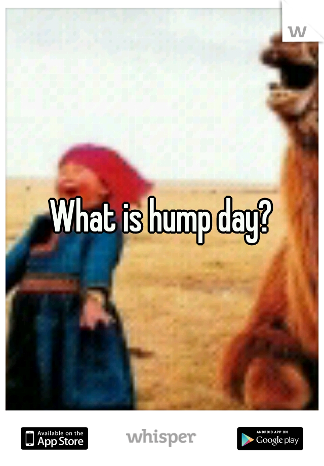 What is hump day?